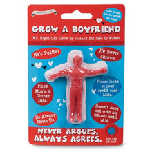 Load image into Gallery viewer, Grow A Boyfriend Novelty Gifts
